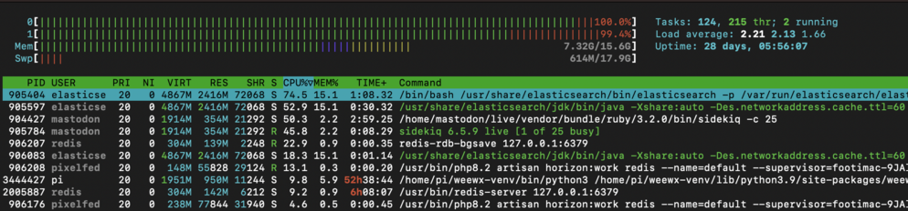 A screenshot from htop showing CPU, RAM and Swap usage.  Elasticsearch is at the top of the CPU list.