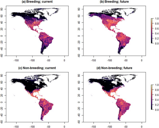 Maps depicting probability of Turkey Vulture presence based on a Random Forest species distribution model with elevation, human population density, temperature, and precipitation