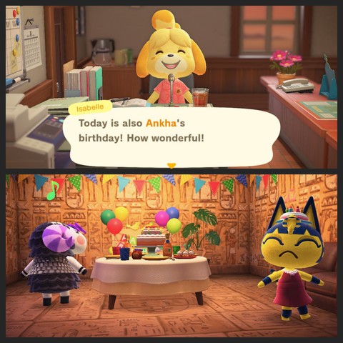 Collage of two Animal Crossing: New Horizons screenshots. The upper screenshot shows Isabelle (yellow dog in a pink shirt in an office setting) saying "Today is also Ankha's birthday! How wonderful!"

The bottom screenshot shows Ankha (yellow cat with blue hair dressed in ancient Egyptian robes with a snake coming out of the center of her forehead like a Pharaoh headdress) and Muffy (black sheep with a white face and purple striped horns) both dancing. The setting is inside of Ankha's home that has pyramid flooring and walls. The room is decorated for a birthday party with streamers, a central table with a cake on it, and balloons.