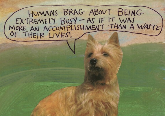 Dog is saying, "Humans brag about being extremely busy — as if it was more an accomplishment than a waste of their lives."