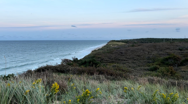 A bluff over the Atlantic, dune grasses in the foreground and a pink and gray sunset as viewed from the east.