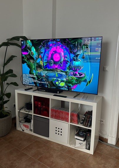 Display of the first location on TV screen for the game "The Treepoids and the Island of Professor Flora" a 2d adventure game for consoles and PC by PSYCRAFT.