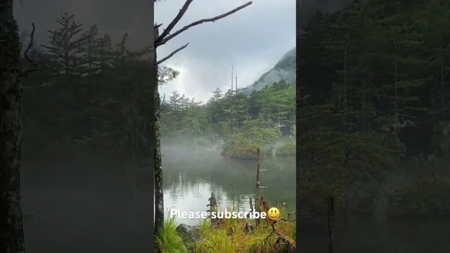 【JAPAN】Mysterious Mood with fog at Kamikochi 【Azusa River】