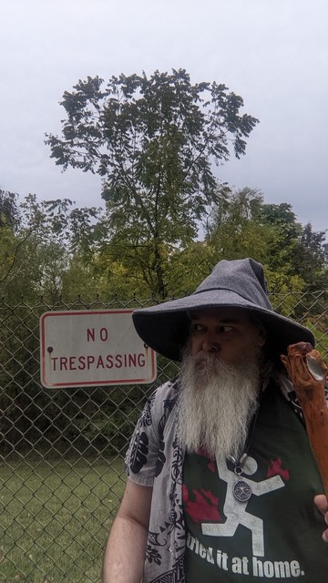 middle aged man with grey beard and gandalf style hat and staff standing in front of a fenced off area full of trees