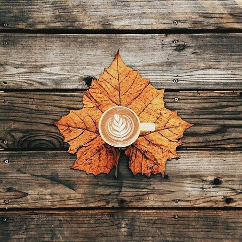 a coffee cup over a big autumn leaf, over an old wooden table