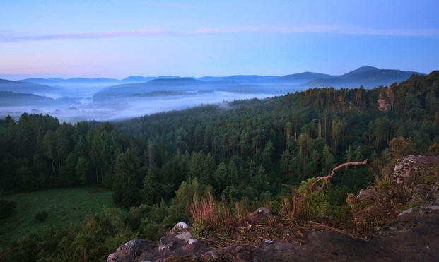 Ein Ausblick in den Wald von einem hohen Felsen aus. Im Hintergrund sind Nebelschwaden in den Bergketten.