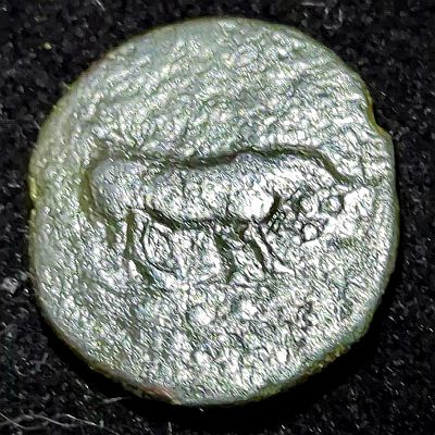 Original coin has: "Bull right, olive branch above, three pellets (mark of value = 1/4 litra) in exergue". On mine, basically only the bull is visible.