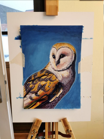 painting of a barn owl on a blue background. paper is fixed on an easel with tape.