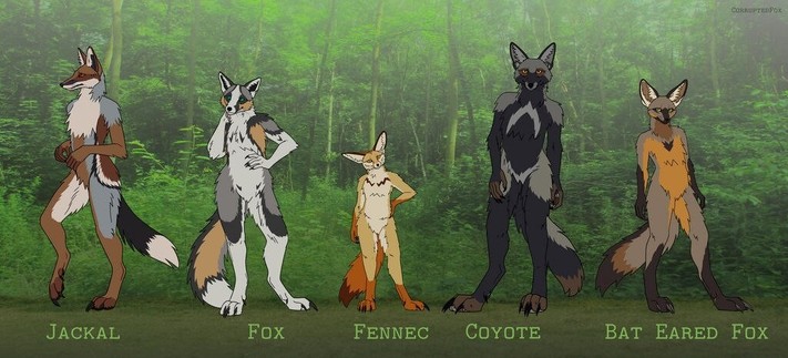 An anthropomorphic jackal, fox, fennec, coyote, and bat eared fox line up in a row. The background is a forest. Digitally drawn.