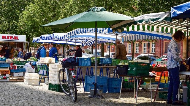 Street scene, customers and stands at a farmers’ market, Bassinplatz, Potsdam