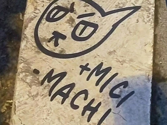 a small  graffiti on the sidewalk  in black .    there's a stylized , angry  cat head on the top  and the text:  " + MICI  -  MACHI "    (italian for  " MORE KITTIES ,  LESS MACHOS" )