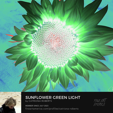 Digital image featuring an artistic representation of Sunflower.