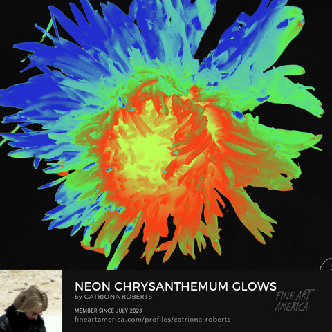 Digital image featuring an artistic representation of a Chrysanthemum Flower.