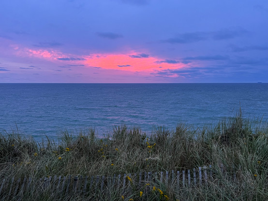 A pink and orange sunrise over the ocean with dark blue skies, grasses and a wood fence in the foreground.