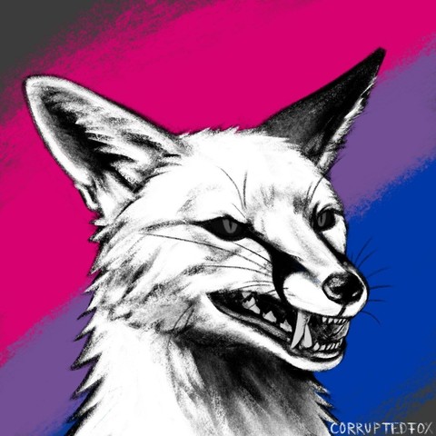 A headshot of a white fox with black markings with open muzzle showing his fangs. The background is coloured with the bisexual colours. Digitally drawn.