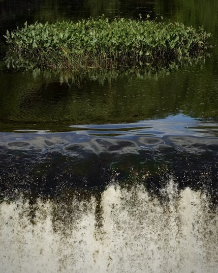 The 5 high by 4 wide color digital photograph shows a clump of waterweeds floating in still, dark water above the rounded weir of a mill dam. The water falls in white streams at the bottom of the image.