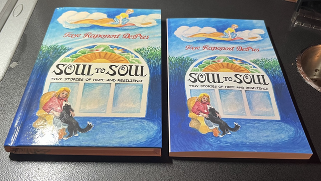 Cover art of a book with the title Soul to Soul