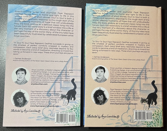 Back cover art and text for Soul to Soul