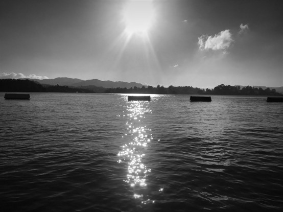 Guatape lagoon (Medellín, Colombia)_4. Dark Mood.
#BodyOfWater #ClearSky #dark_mood #LensFlare #Nature #NATURE_PHOTOGRAPHY #Outdoors  #Reflection #ScenicsNature #Shore #snap_allnature #snap_alltrees #snap_blue #snap_bnw #snap_community #snap_country #snap_mobile #snap_waters #Sky #Sunlight #Tranquility #Tree