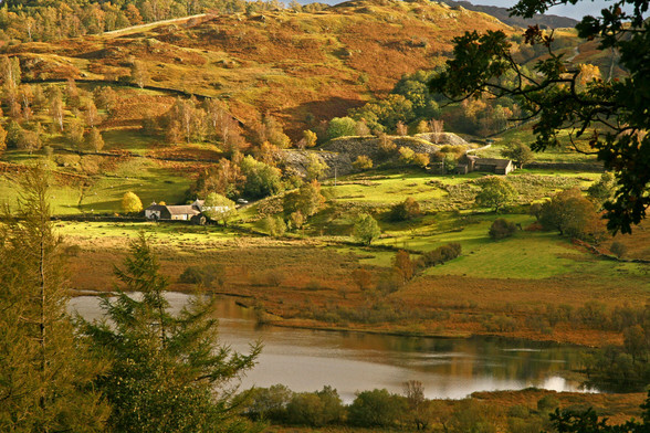 Autumn colours in the English Lake District, the valley sides are covered with brown bracken and the trees are on the turn. Small whitewashed farm buildings nestle below long abandoned slate quarries, their spoil heaps being reclaimed by nature. Scrubby fields lead down to a small tarn in the foreground framed by trees.