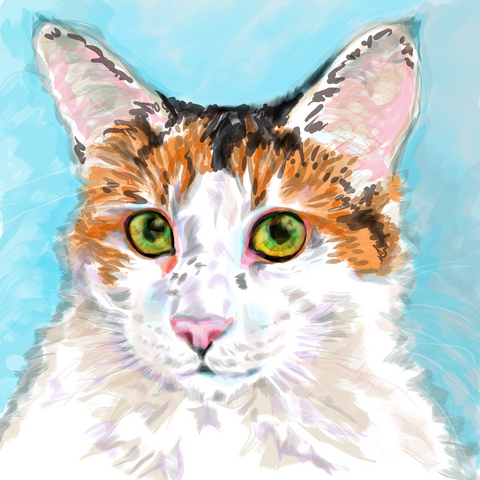 Digital drawing of a white, orange, and black cat with yellow-green eyes.