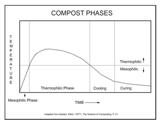 Eine skizzierte Temperaturkurve, die in drei Phasen der Kompostierung aufgeteilt ist: Thermophilic Phase, Cooling und Curing. Am Anfang in der  thermophilen Phase steigt sie rasch an und sinkt dann immer mehr in den folgenden Phasen.