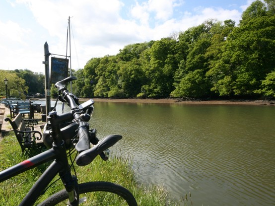 A river, with trees on the far bank, and on the near bank, a bike, a bench, a hanging sign, and some grass.