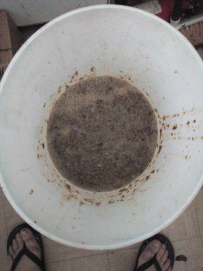 10–12 litres of the processed grape ready for fermentation into wine