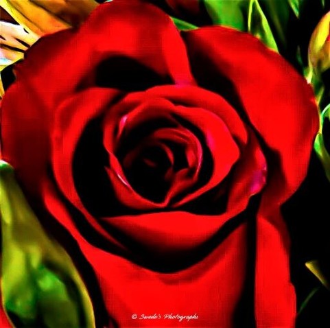 This is a picture of the face of a red rose with a glimpse of green and yellow leave behind. It looks a bit like a painting.