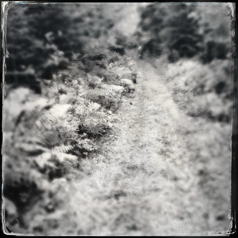 Black and white Hipstamatic photograph using wet plate emulation - photograph is of a country lane in Frostpocket, Ontario, Canada