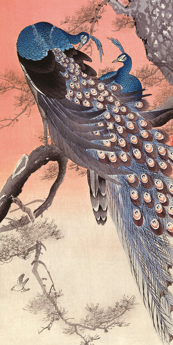 Painting of two large blue peacocks, with large blue feathers with touches of brown and soft orange in them, sitting on a brown branch of a grey and brown coloured tree, which you see part of right above in the painting. In the painting are more little brown tree branches. The background of the painting is very light brown below, and warm pinkish orange above.