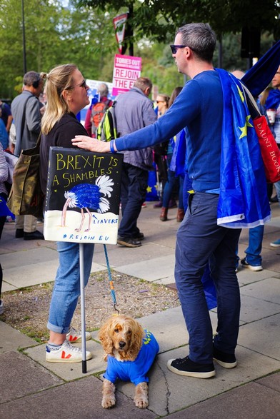Two protestors in conversation, leaning on a sign reading, "Brexit is a shambles," and depicting an ostrich with its head in the sand.  Their dog, clad in EU colours, lies quietly looking on.