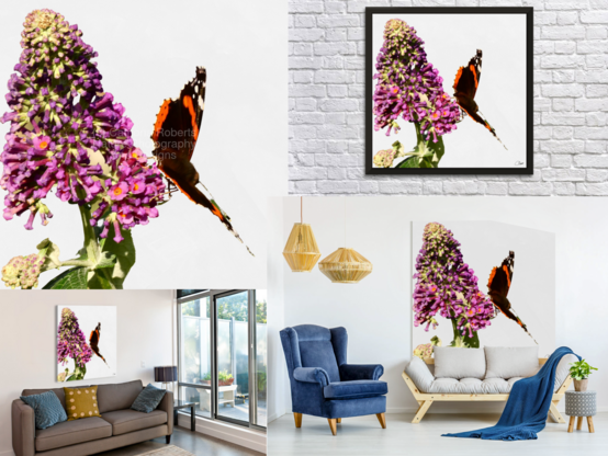 Digital image of a Butterfly on a Buddleia bush featured on an art and canvas prints.