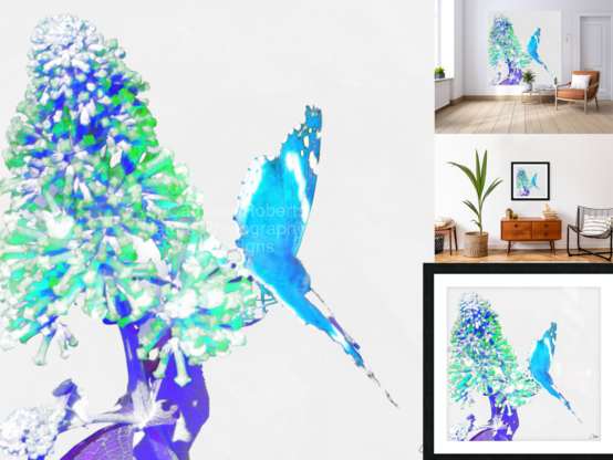 Digital image featuring an artistic representation of a Butterfly on a Buddelia flower on canvas and art prints.