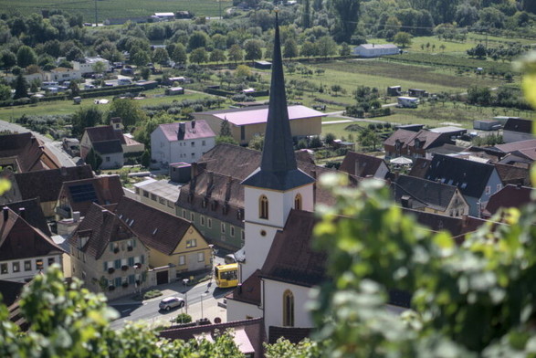 Ein Blick von einem Weinberg durch die Rebzeilen hindurch auf das Dorf Escherndorf in Unterfranken. Markant sticht die Kirche mit ihrem Turm hervor.