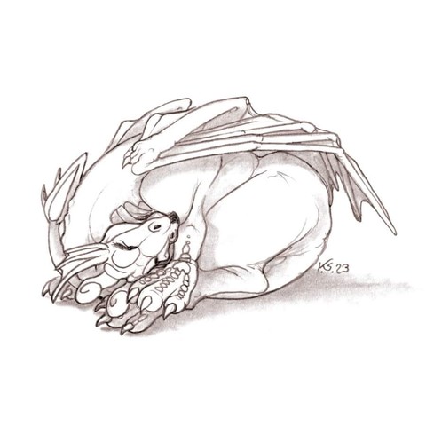 A pencil sketch if my Dragoness character Drakalette, curled up like a ball.
