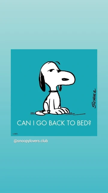 Snoopy sitzt mÃ¼de auf dem Boden und fragt: can I go to bed?