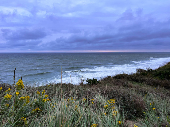 An ocean scene: grasses and yellow flowers in the foreground, a turbulent surf and dark, cloudy skies.