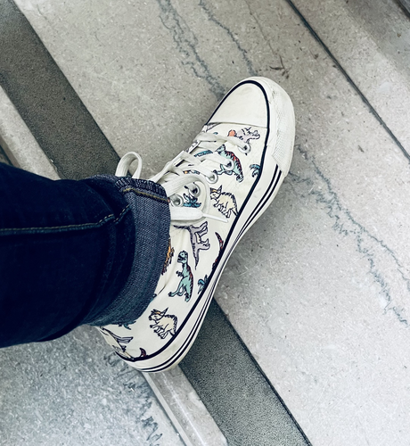 Shoes with dinosaurs on them