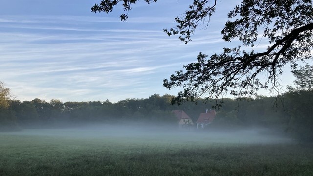 View over a meadow covered with fog. At the end of the meadow 2 houses can be seen, behind them a forest.