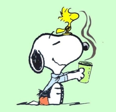 Snoopy sitzt in Shorts und T-Shirt mit einem Kaffeebecher. Auf seinem Kopf Woodstock, der am Kaffeeduft schnuppert