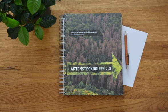 FVA-Publikation "Artensteckbriefe 2.0: Alternative Baumarten im Klimawandel". (Foto: FVA BW/Brenner)