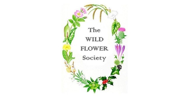 The Wild Flower Society logo, various plants around the writing