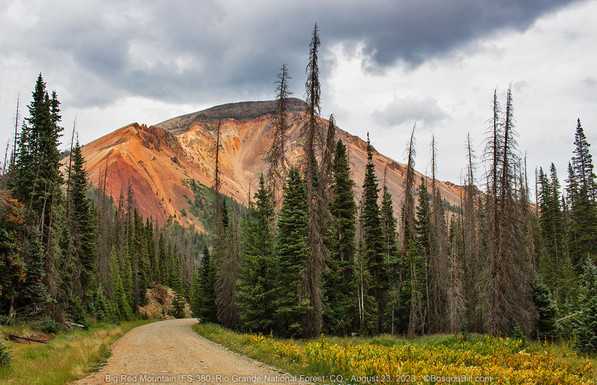 A dirt road cuts through a conifer forest; in the background is a raw, red dirt mountain; dark clouds overhead.
©BosqueBill.com