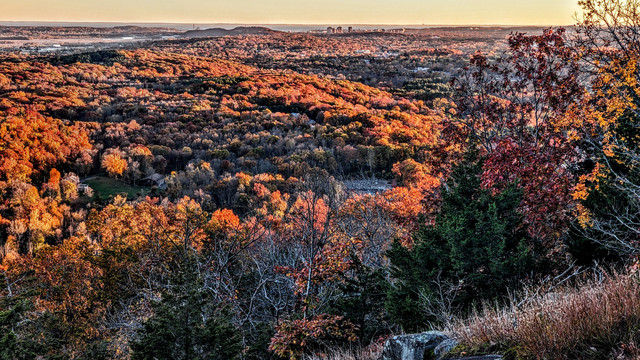 Beneath a clear whitewashed evening sky, we are standing in the shade atop a rocky cliff with patches of low, scrubby vegetation. The forest begins just to our right, these trees are also in shade. The sprawling valley several hundred feet below is dappled with gold-tinged evening sunshine and lengthening shadows. Near the far horizon is the city of New Haven. Past that are Long Island Sound and Long Island, New York, visible as blue gray and golden brown strips along that horizon. Many scattered buildings are visible in the valley below, but also wide swaths of forest, most of the trees sporting gold and orange fall foliage.