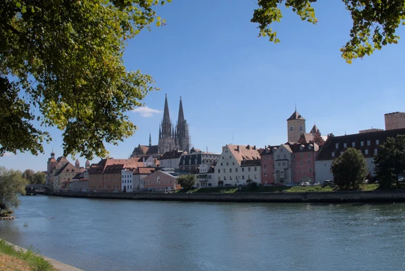 A medieval city with a Gothic cathedral can be seen across a river on a sunny day. The houses are built of stone and painted in various shades of red or off- white. The photo was taken under a tree, two branches with green leaves cover a part of the sky.