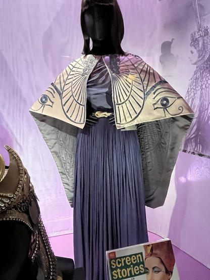 Gorgeous gold robe with Egyptian symbols over a blue pleated dress
