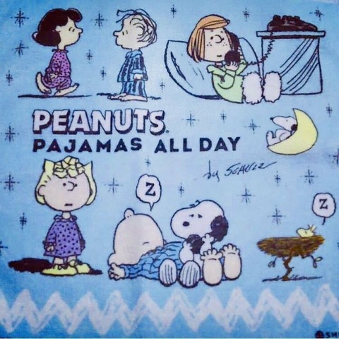 Verschiedene Peanuts Figuren in Pyjamas bei unterschiedlichen TÃ¤tigkeiten: sich unterhalten, telefonieren, schlafen.
Text im Bild: Peanuts Pajamas all day.