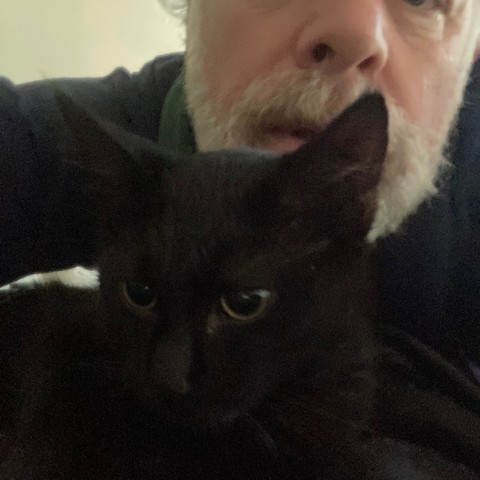 Beautiful black kitten in front of face of a white-bearded man
