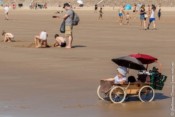 Petit enfant dans son chariot sur la plage